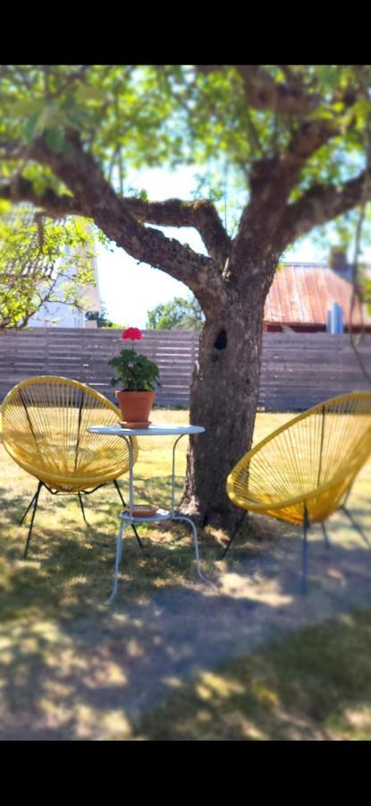 Bambina'S Guest House Kristianstad Dış mekan fotoğraf