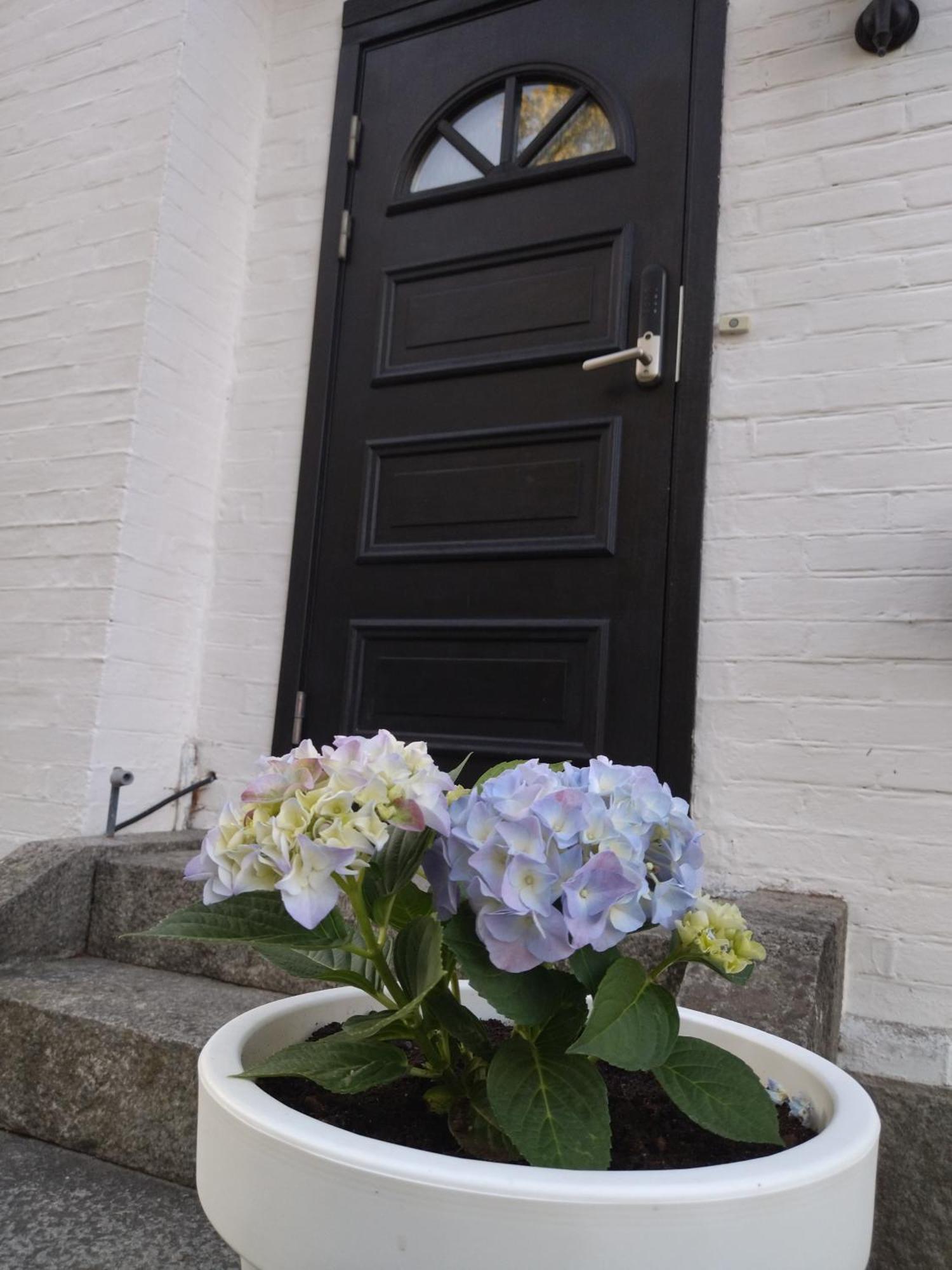Bambina'S Guest House Kristianstad Dış mekan fotoğraf